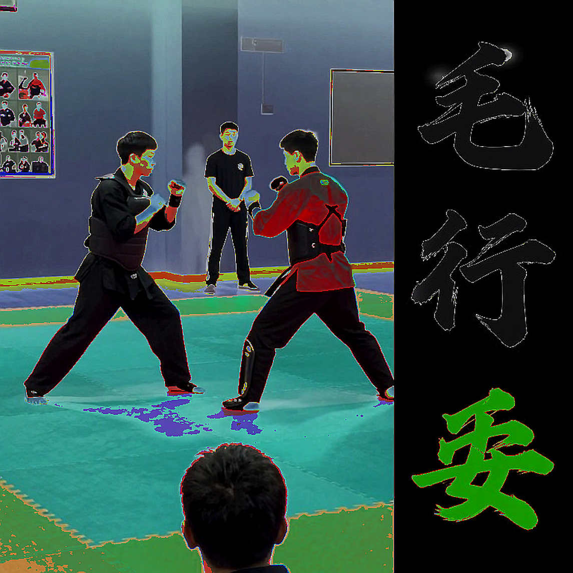 Asiad 2026: Hai đôi chân nữ gánh cả giấc mơ huy chương taekwondo Việt Nam